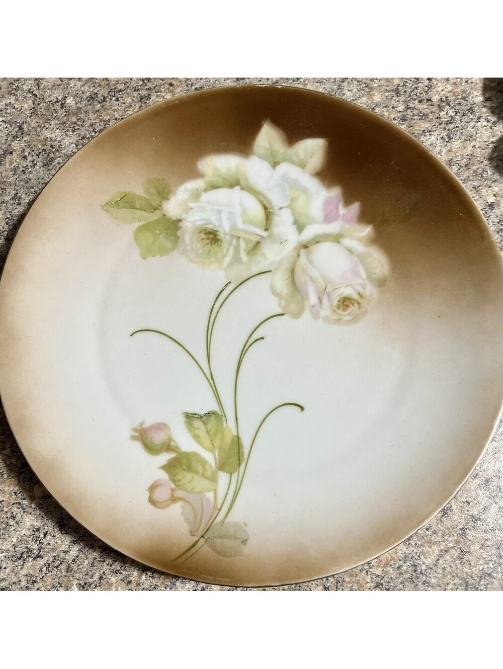 Antique 8.5" Bavarian Porcelain Hand-Painted Cabinet Plate